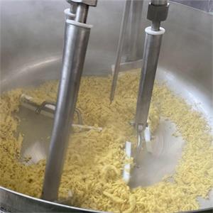 Cooking Mixer Machine-Fried Egg